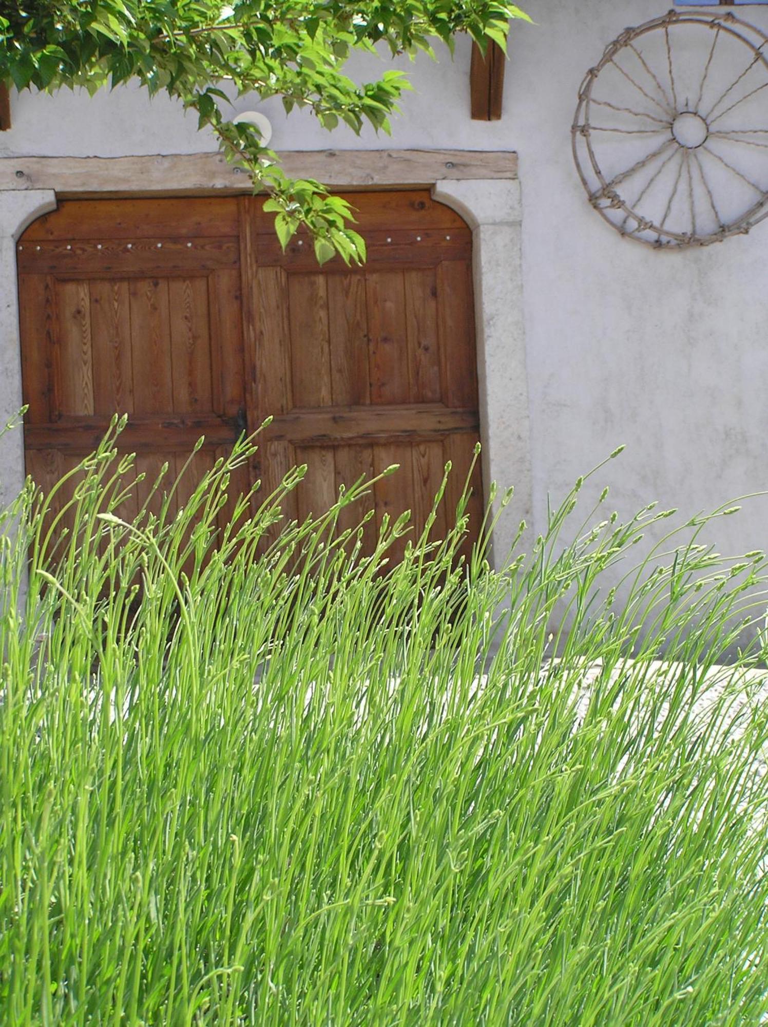 Pliskovica Youth Hostel Exterior foto